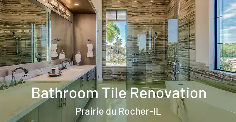 inner Bathroom imggen Bathroom Tile Renovation Prairie du Rocher-IL