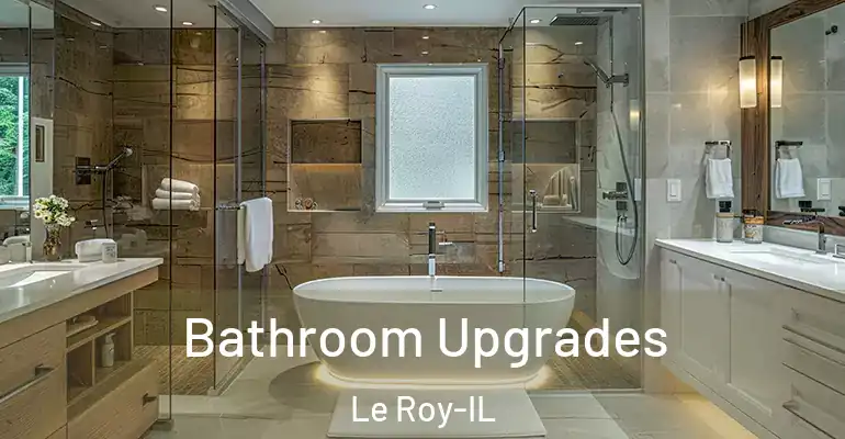 inner Bathroom imggen Bathroom Upgrades Le Roy-IL
