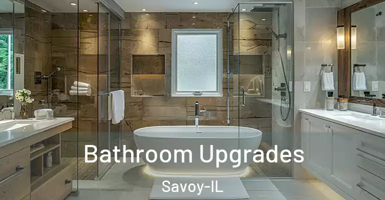 inner Bathroom imggen Bathroom Upgrades Savoy-IL