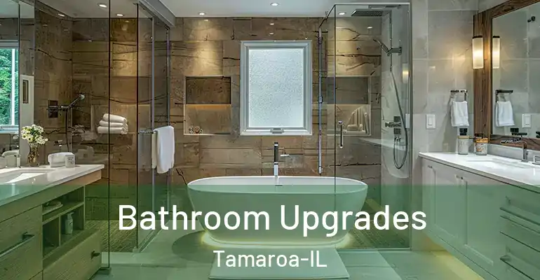inner Bathroom imggen Bathroom Upgrades Tamaroa-IL