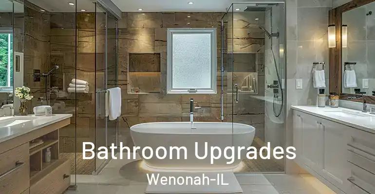 inner Bathroom imggen Bathroom Upgrades Wenonah-IL