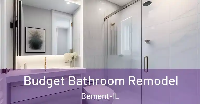 inner Bathroom imggen Budget Bathroom Remodel Bement-IL