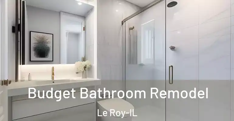 inner Bathroom imggen Budget Bathroom Remodel Le Roy-IL