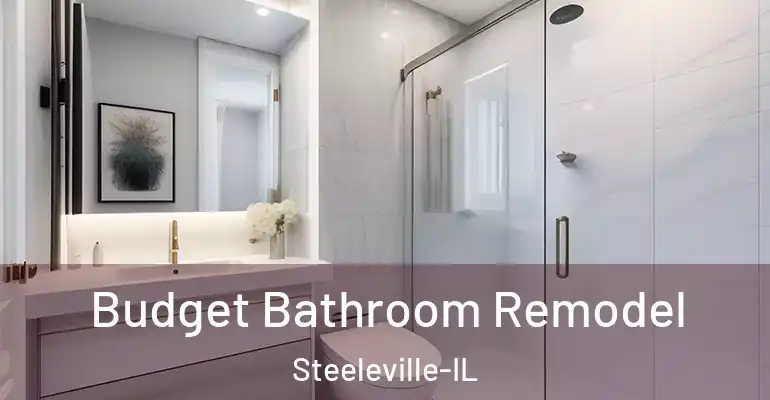 inner Bathroom imggen Budget Bathroom Remodel Steeleville-IL