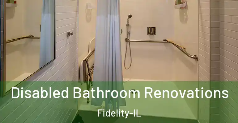 inner Bathroom imggen Disabled Bathroom Renovations Fidelity-IL