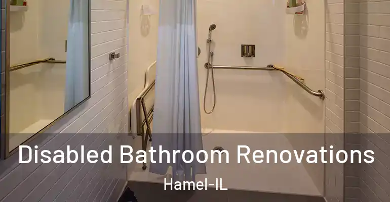 inner Bathroom imggen Disabled Bathroom Renovations Hamel-IL