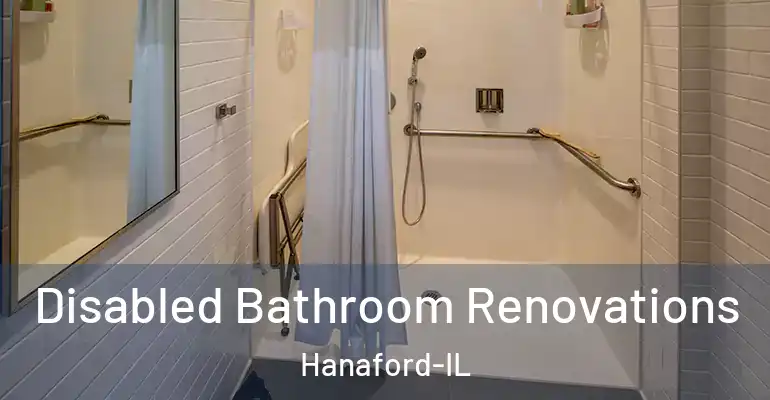inner Bathroom imggen Disabled Bathroom Renovations Hanaford-IL