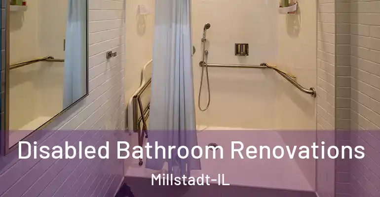 inner Bathroom imggen Disabled Bathroom Renovations Millstadt-IL