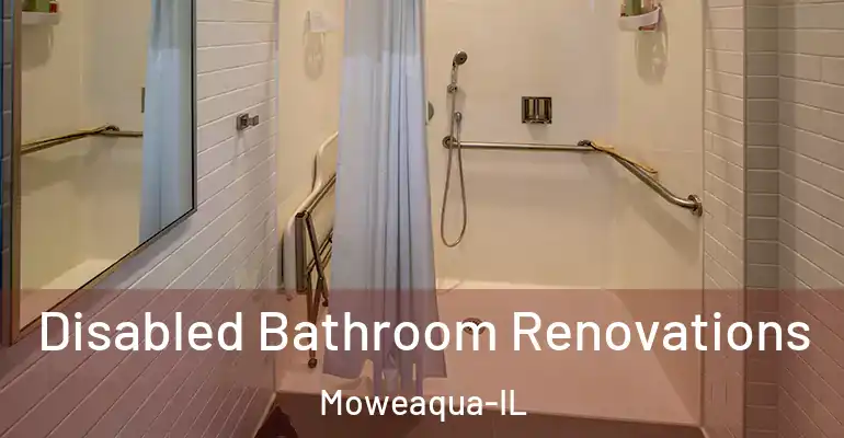 inner Bathroom imggen Disabled Bathroom Renovations Moweaqua-IL