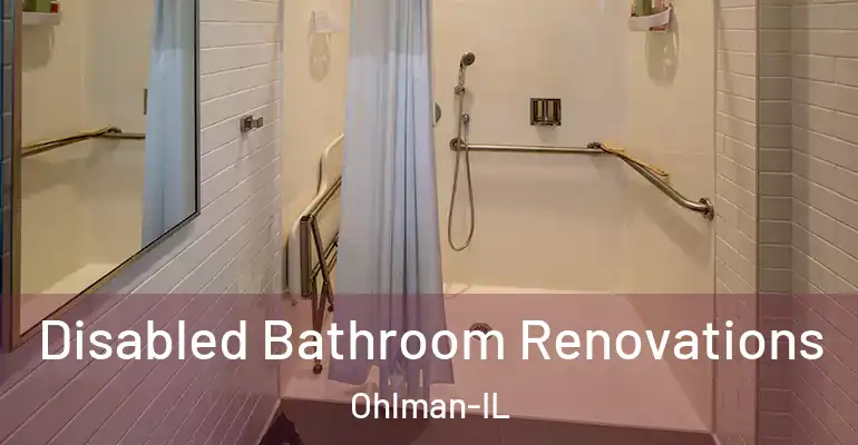 inner Bathroom imggen Disabled Bathroom Renovations Ohlman-IL
