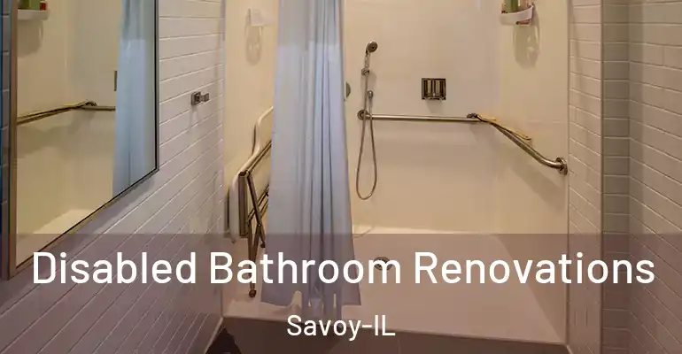 inner Bathroom imggen Disabled Bathroom Renovations Savoy-IL