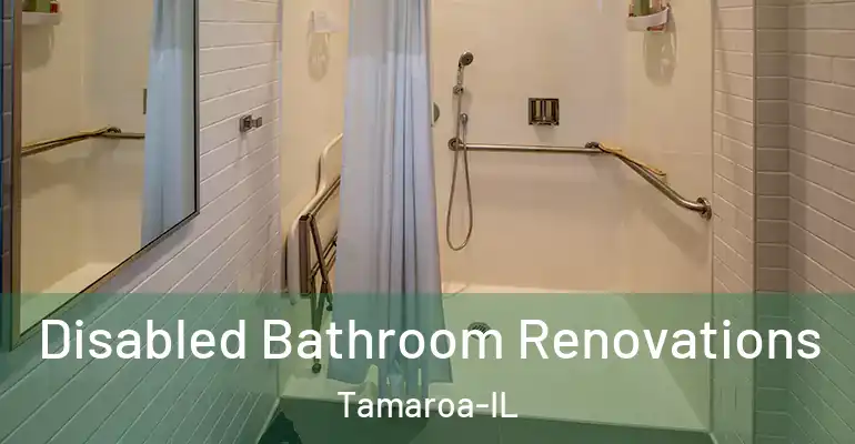 inner Bathroom imggen Disabled Bathroom Renovations Tamaroa-IL
