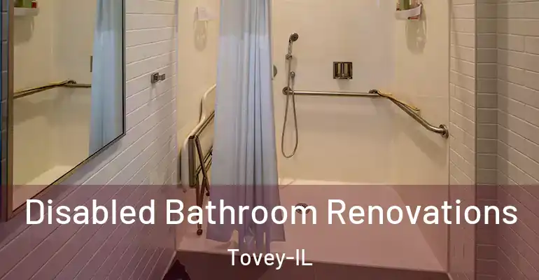 inner Bathroom imggen Disabled Bathroom Renovations Tovey-IL