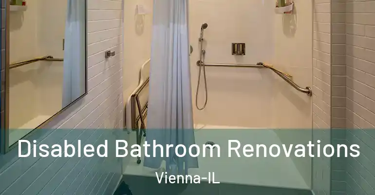 inner Bathroom imggen Disabled Bathroom Renovations Vienna-IL