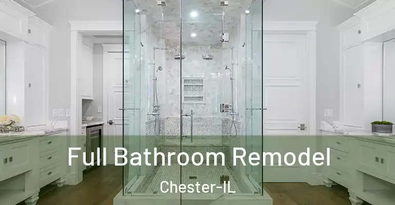 inner Bathroom imggen Full Bathroom Remodel Chester-IL