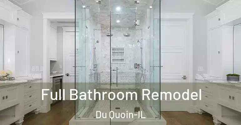 inner Bathroom imggen Full Bathroom Remodel Du Quoin-IL