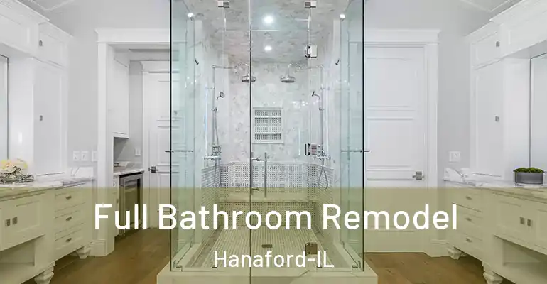 inner Bathroom imggen Full Bathroom Remodel Hanaford-IL