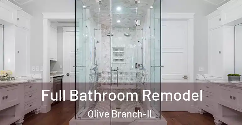 inner Bathroom imggen Full Bathroom Remodel Olive Branch-IL