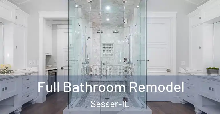inner Bathroom imggen Full Bathroom Remodel Sesser-IL