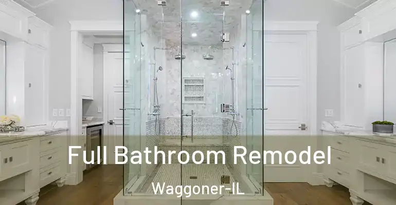 inner Bathroom imggen Full Bathroom Remodel Waggoner-IL