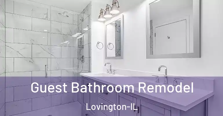 inner Bathroom imggen Guest Bathroom Remodel Lovington-IL