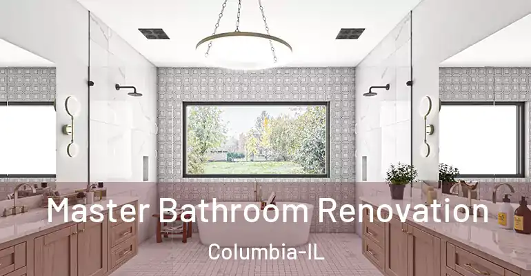 inner Bathroom imggen Master Bathroom Renovation Columbia-IL