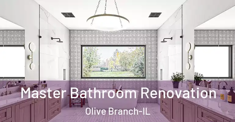 inner Bathroom imggen Master Bathroom Renovation Olive Branch-IL