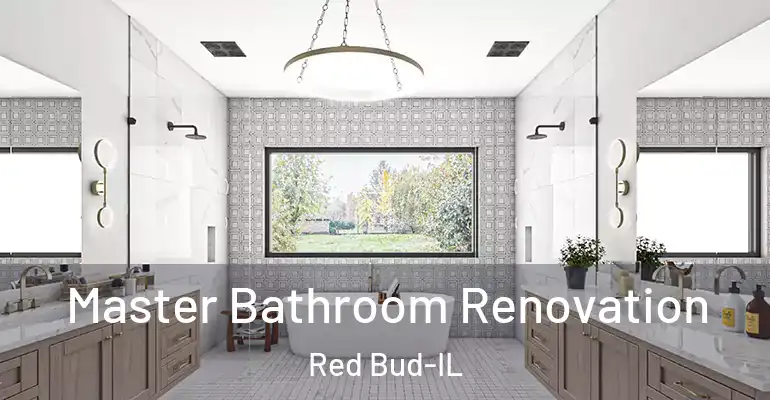 inner Bathroom imggen Master Bathroom Renovation Red Bud-IL