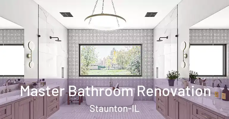 inner Bathroom imggen Master Bathroom Renovation Staunton-IL