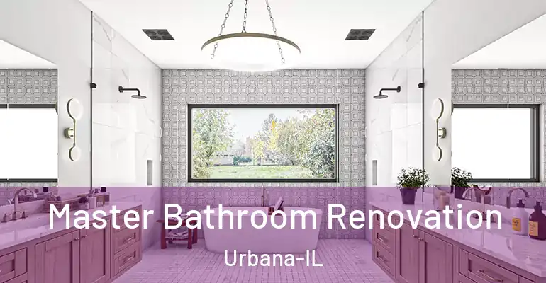 inner Bathroom imggen Master Bathroom Renovation Urbana-IL