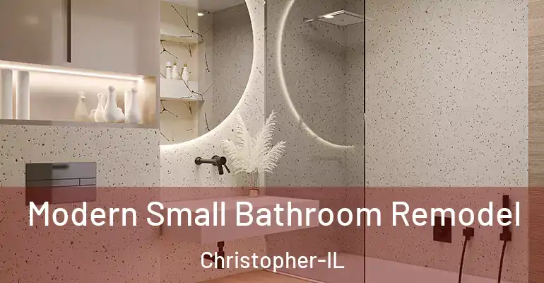 inner Bathroom imggen Modern Small Bathroom Remodel Christopher-IL