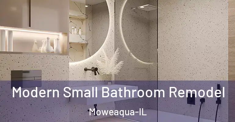 inner Bathroom imggen Modern Small Bathroom Remodel Moweaqua-IL