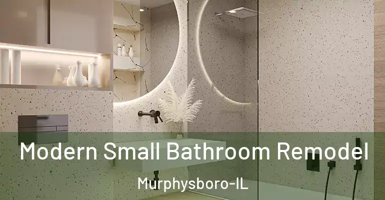 inner Bathroom imggen Modern Small Bathroom Remodel Murphysboro-IL