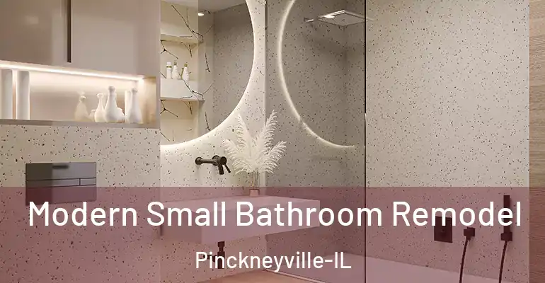 inner Bathroom imggen Modern Small Bathroom Remodel Pinckneyville-IL