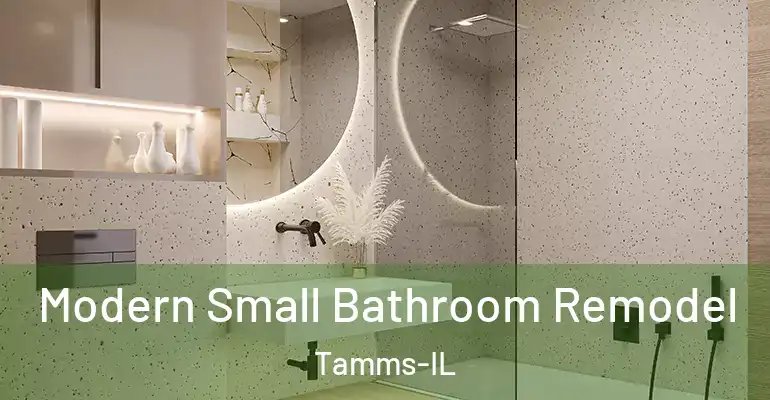 inner Bathroom imggen Modern Small Bathroom Remodel Tamms-IL