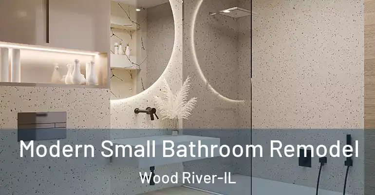 inner Bathroom imggen Modern Small Bathroom Remodel Wood River-IL