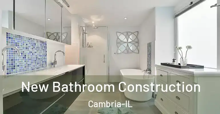 inner Bathroom imggen New Bathroom Construction Cambria-IL