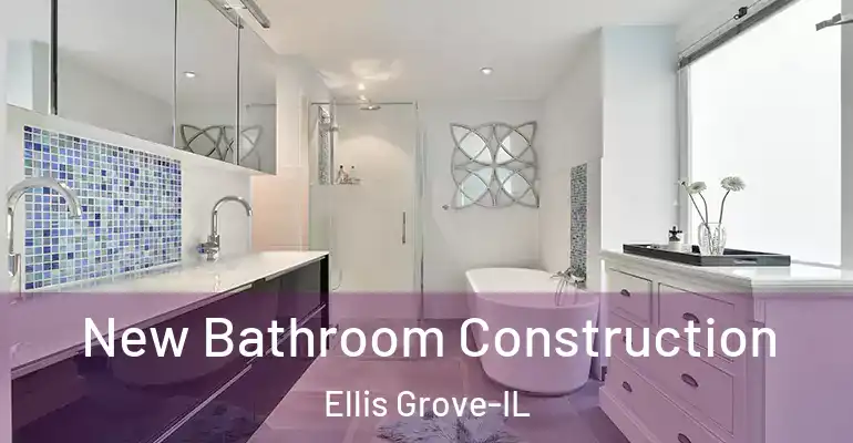 inner Bathroom imggen New Bathroom Construction Ellis Grove-IL