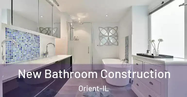 inner Bathroom imggen New Bathroom Construction Orient-IL