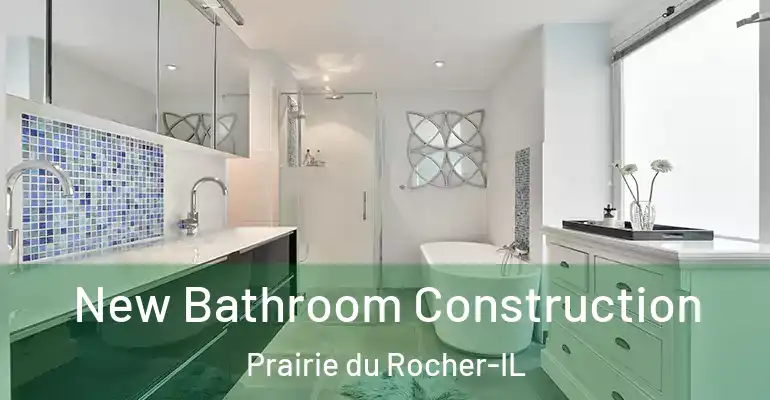 inner Bathroom imggen New Bathroom Construction Prairie du Rocher-IL