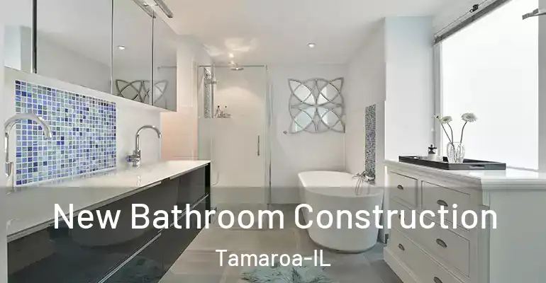 inner Bathroom imggen New Bathroom Construction Tamaroa-IL