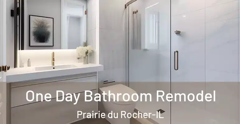 inner Bathroom imggen One Day Bathroom Remodel Prairie du Rocher-IL