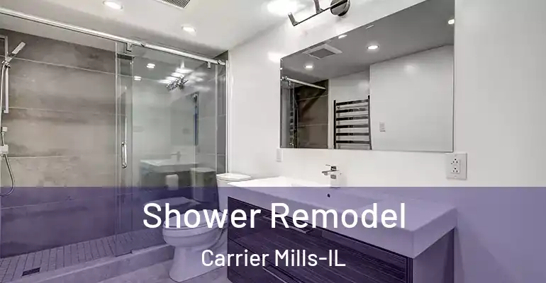 inner Bathroom imggen Shower Remodel Carrier Mills-IL