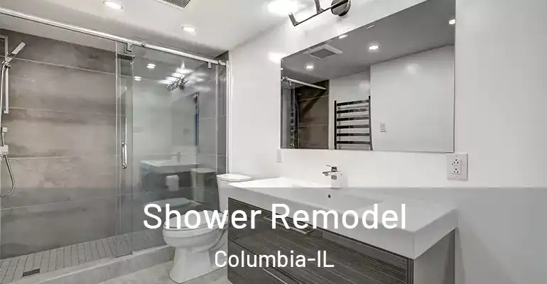 inner Bathroom imggen Shower Remodel Columbia-IL