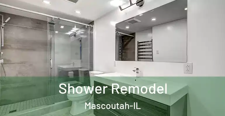 inner Bathroom imggen Shower Remodel Mascoutah-IL