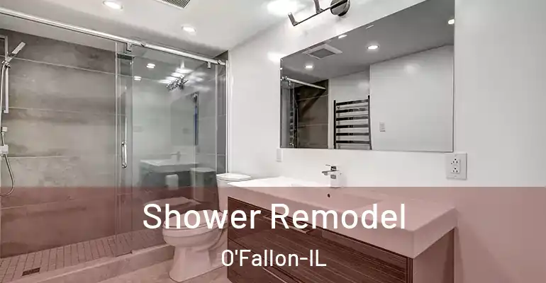 inner Bathroom imggen Shower Remodel O'Fallon-IL