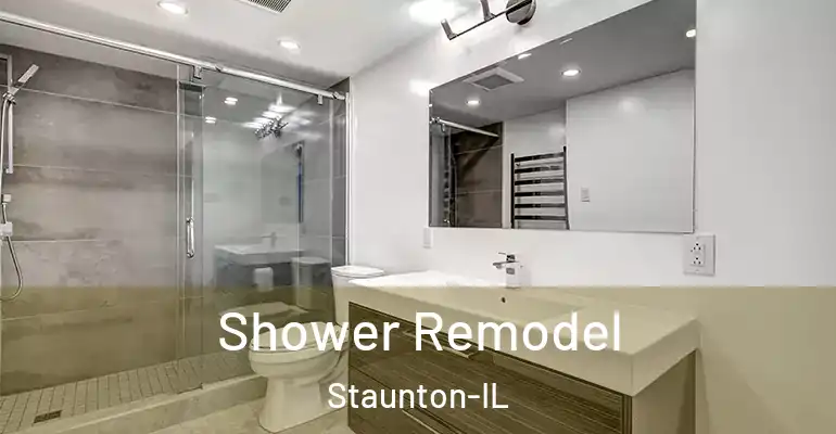 inner Bathroom imggen Shower Remodel Staunton-IL