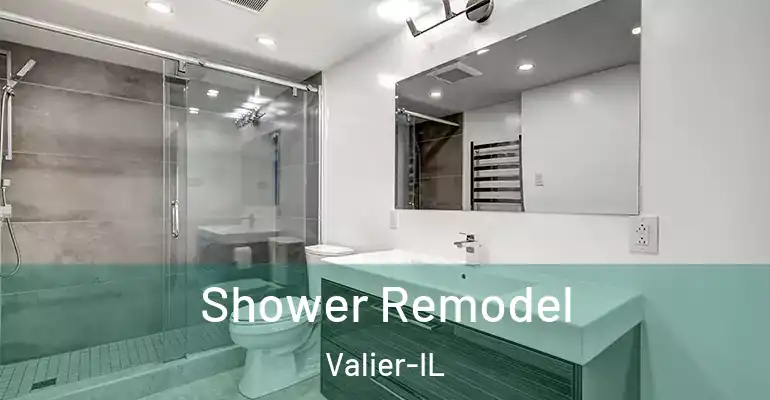 inner Bathroom imggen Shower Remodel Valier-IL