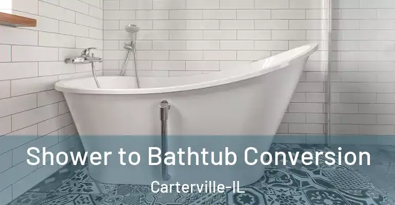 inner Bathroom imggen Shower to Bathtub Conversion Carterville-IL