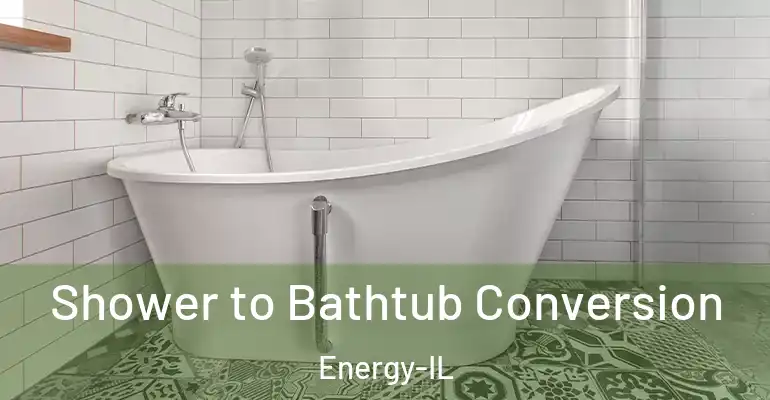 inner Bathroom imggen Shower to Bathtub Conversion Energy-IL